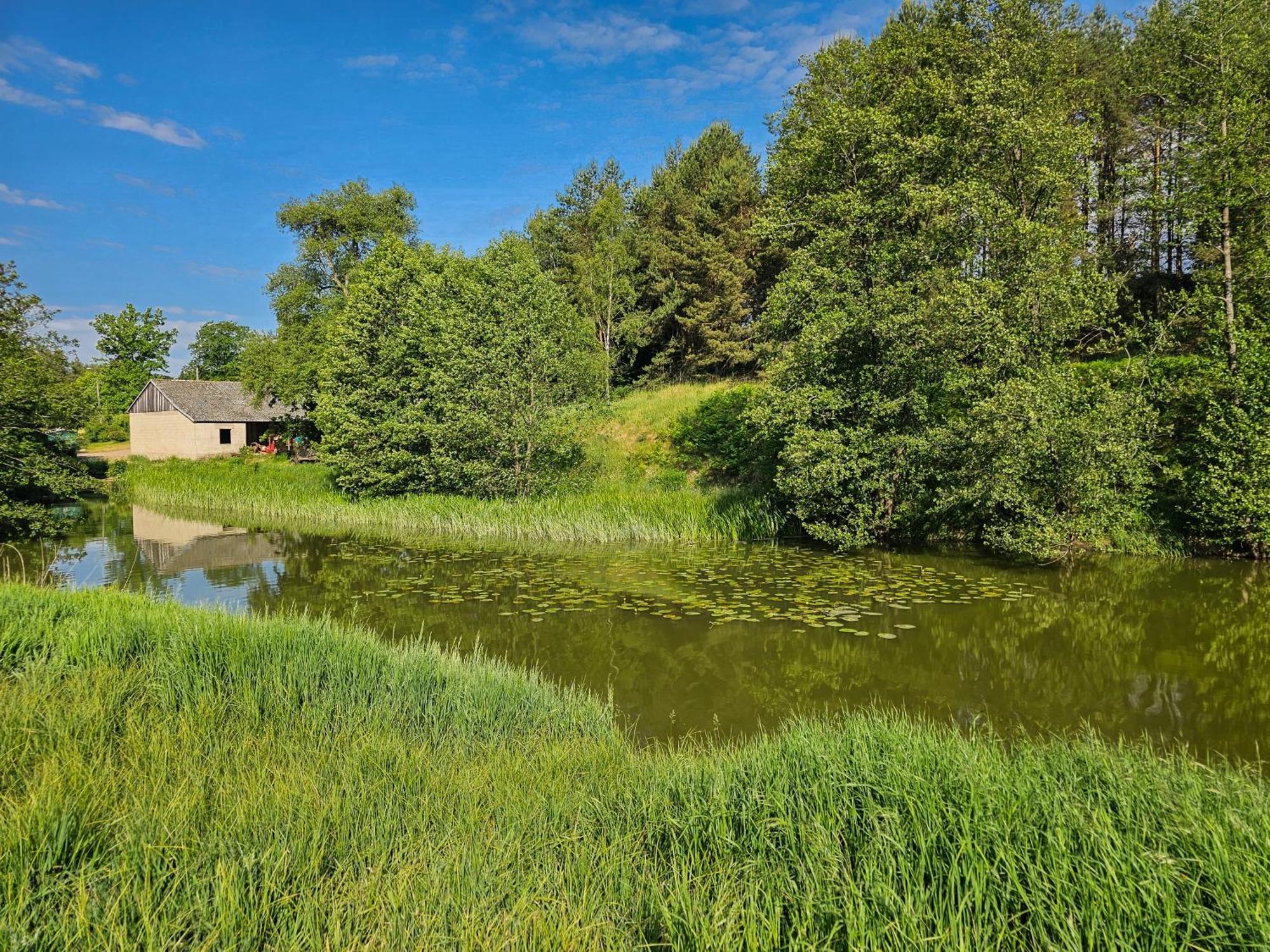 Dom Pod Klonem Na Kaszubach Kościerzyna Exterior foto