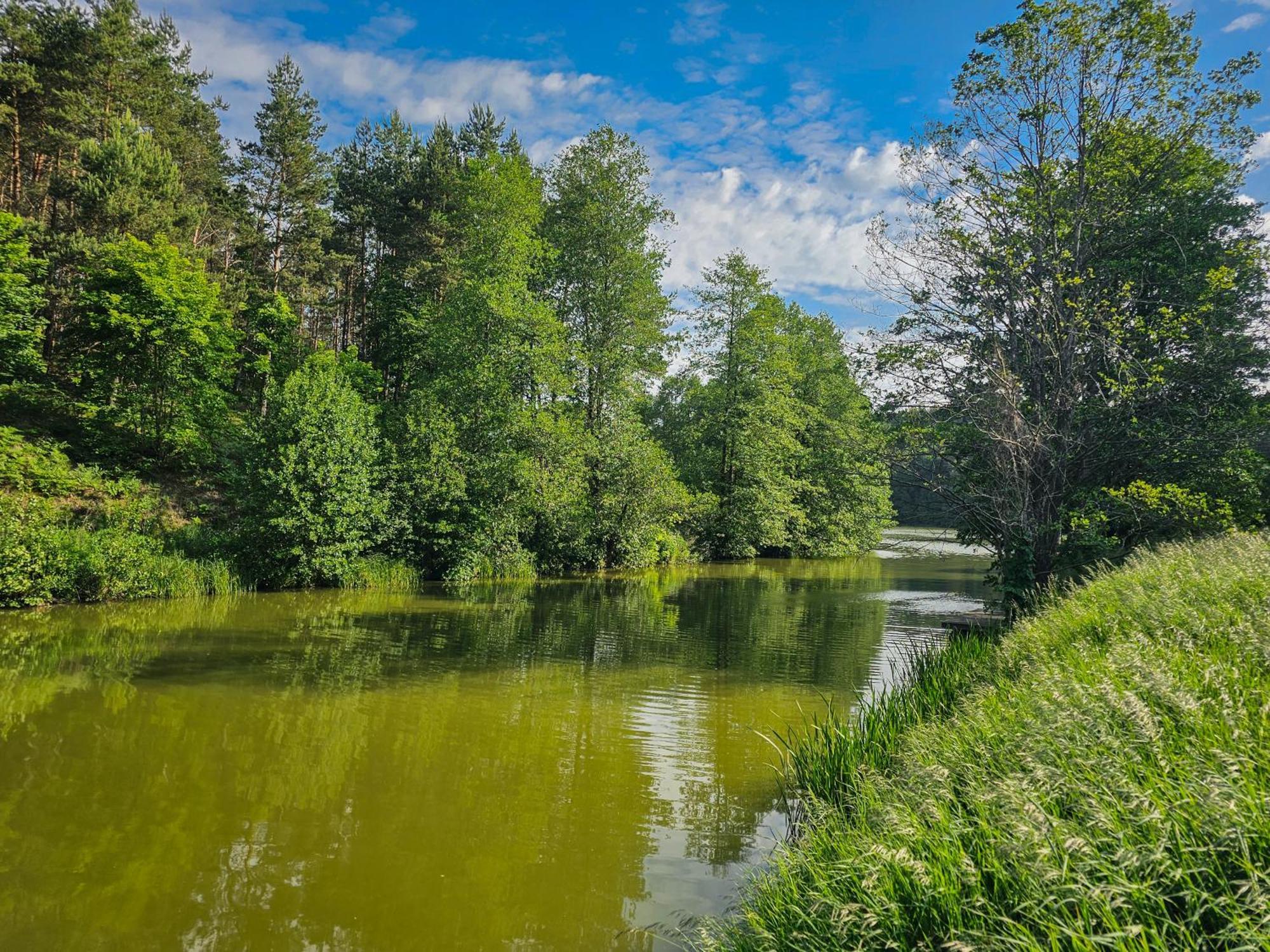 Dom Pod Klonem Na Kaszubach Kościerzyna Exterior foto