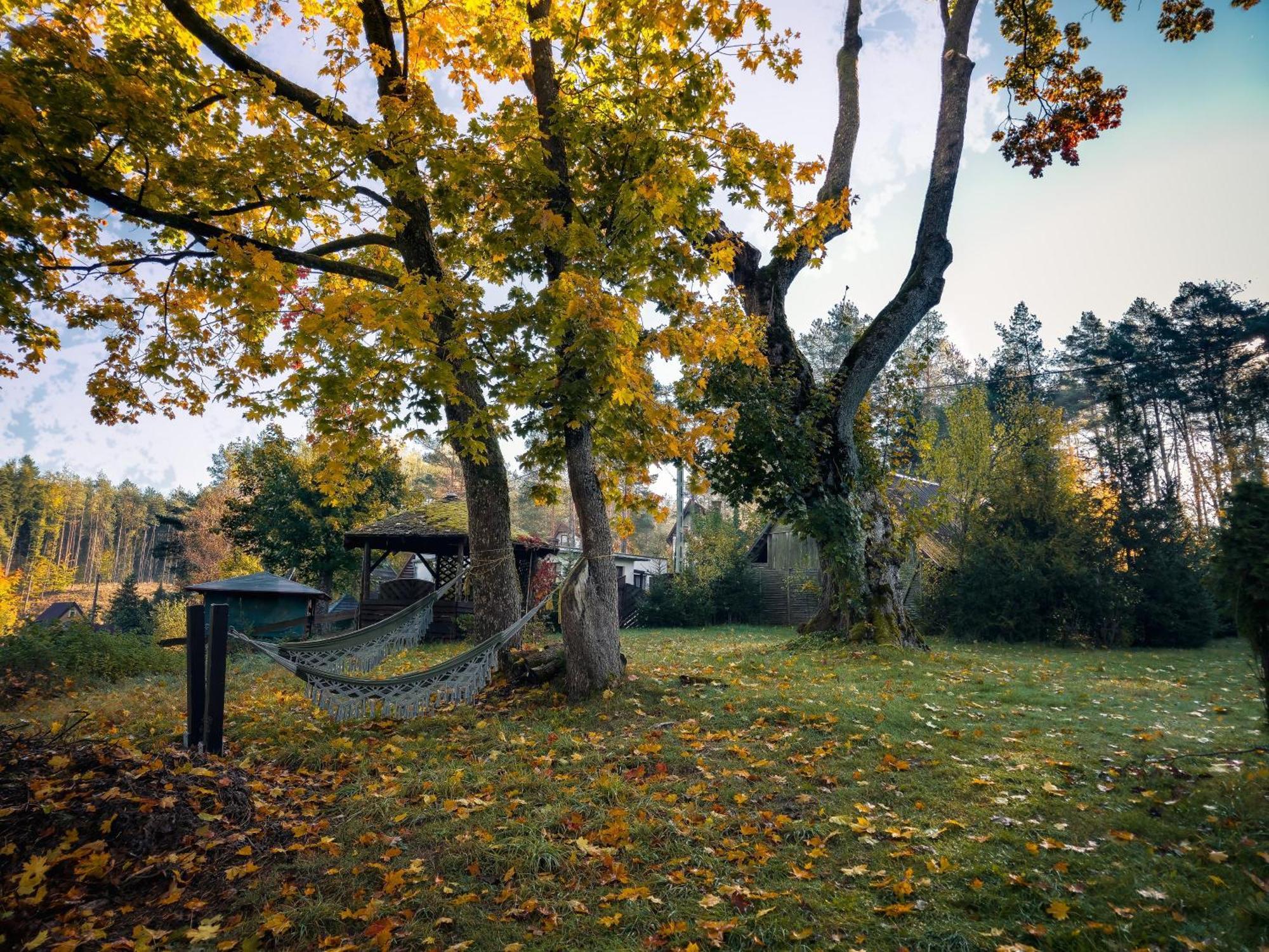 Dom Pod Klonem Na Kaszubach Kościerzyna Exterior foto