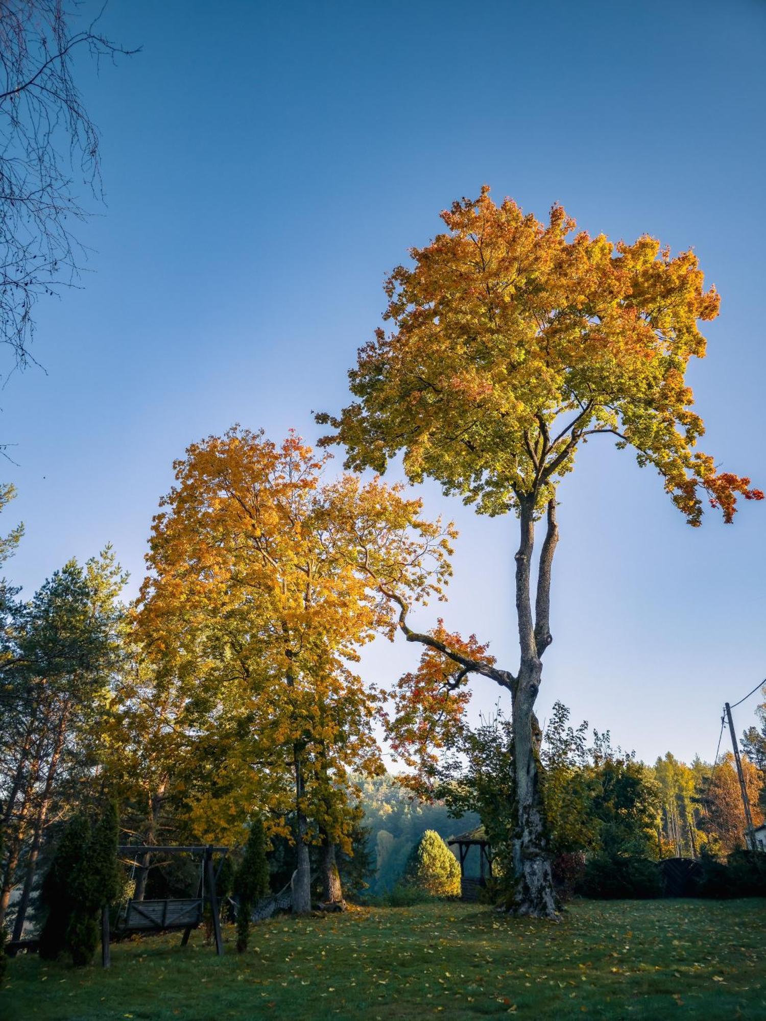Dom Pod Klonem Na Kaszubach Kościerzyna Exterior foto