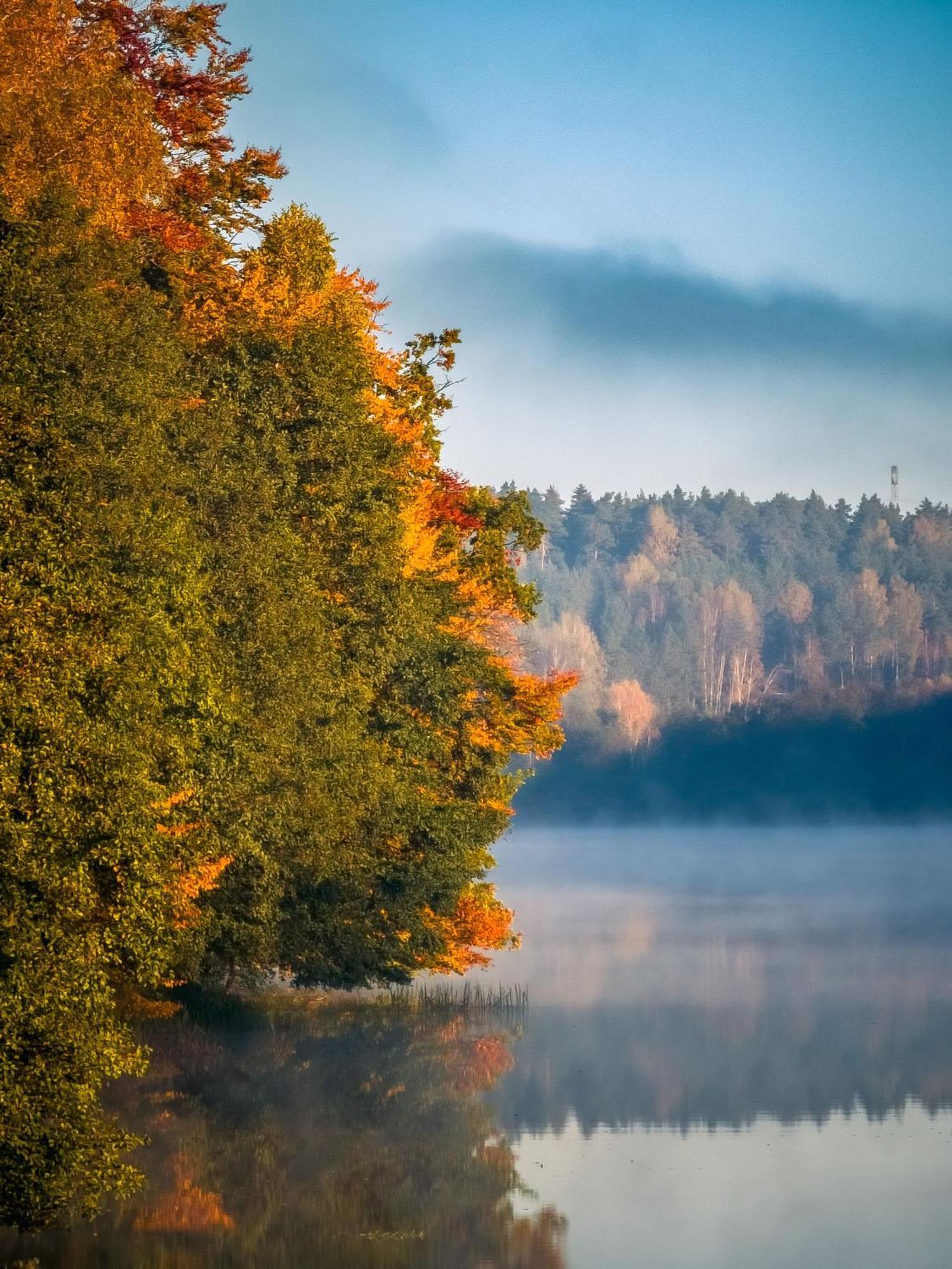 Dom Pod Klonem Na Kaszubach Kościerzyna Exterior foto