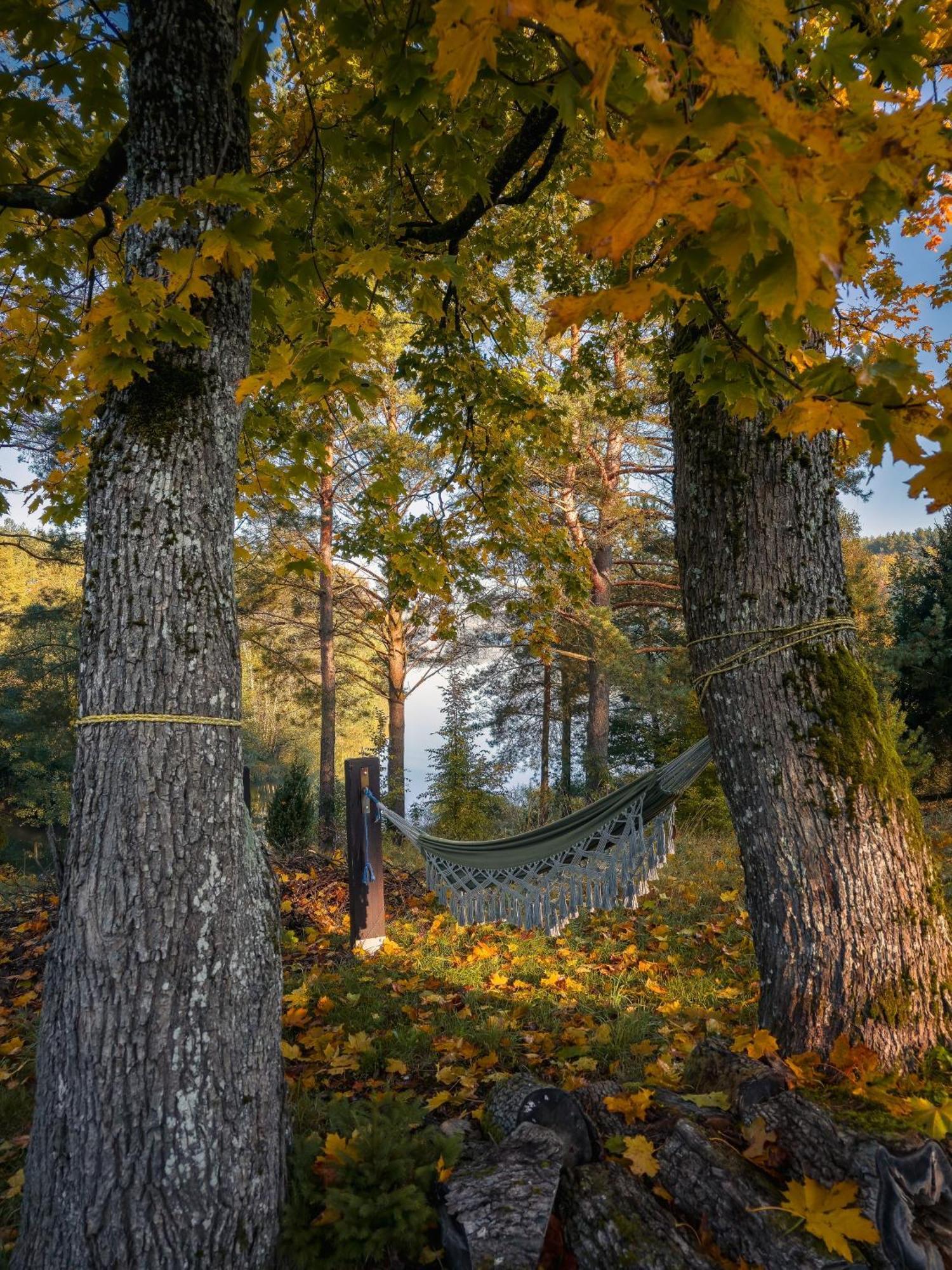 Dom Pod Klonem Na Kaszubach Kościerzyna Exterior foto