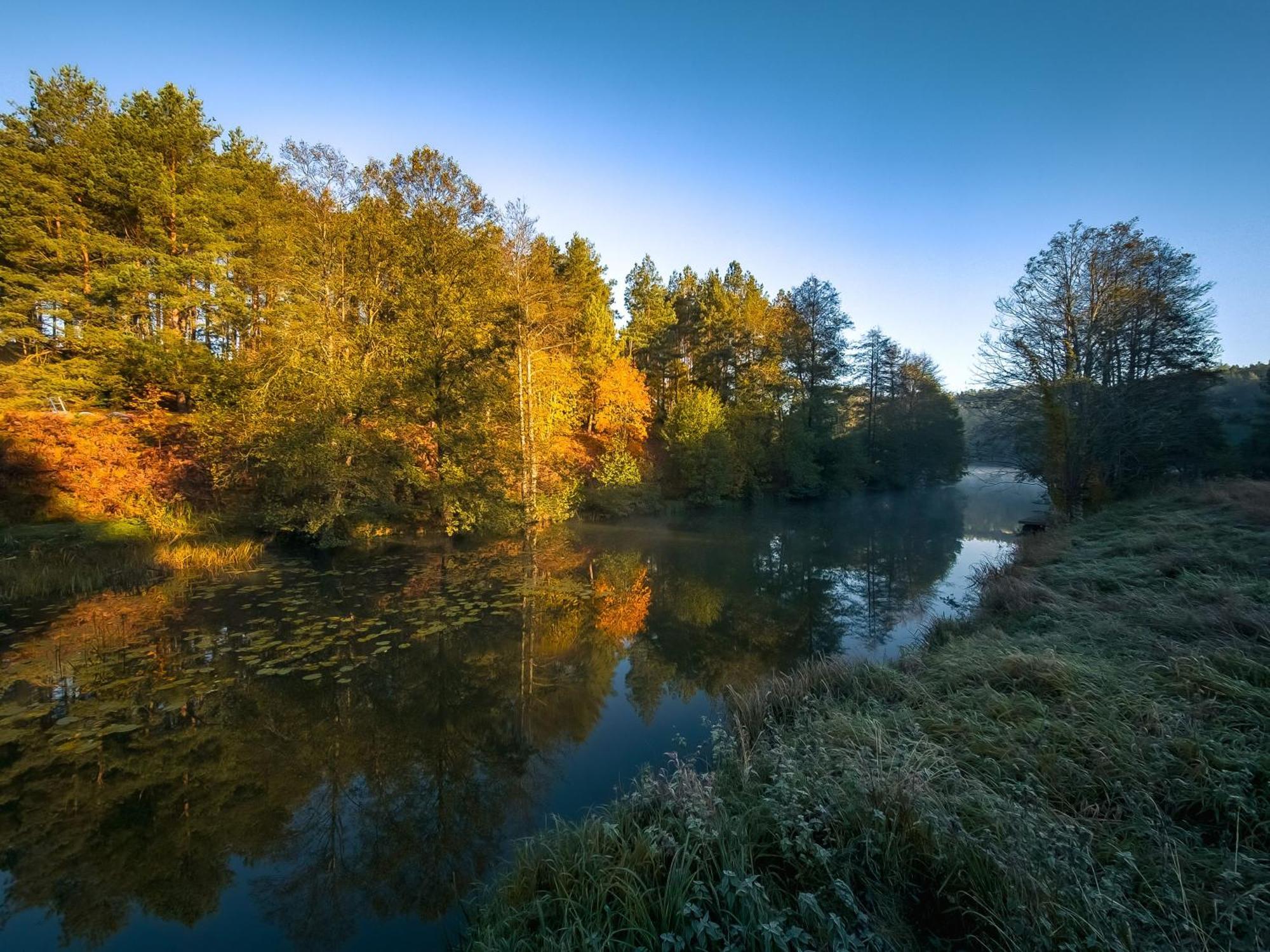 Dom Pod Klonem Na Kaszubach Kościerzyna Exterior foto