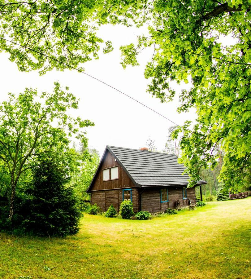 Dom Pod Klonem Na Kaszubach Kościerzyna Exterior foto