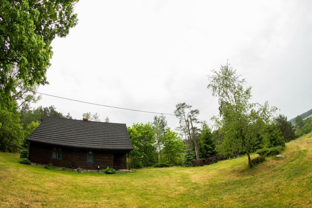 Dom Pod Klonem Na Kaszubach Kościerzyna Exterior foto